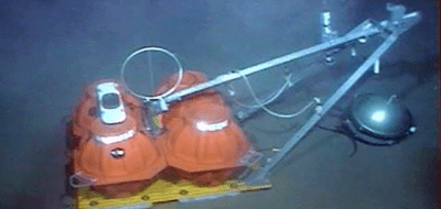Picture-F-Jason-ROV-pix-of-BBOBS_486393.png