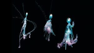 Siphonophores_Dancers_1920x1080.jpg