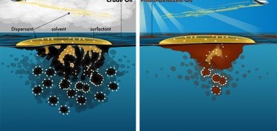 Reassessing Guidelines for Oil Spill Cleanups