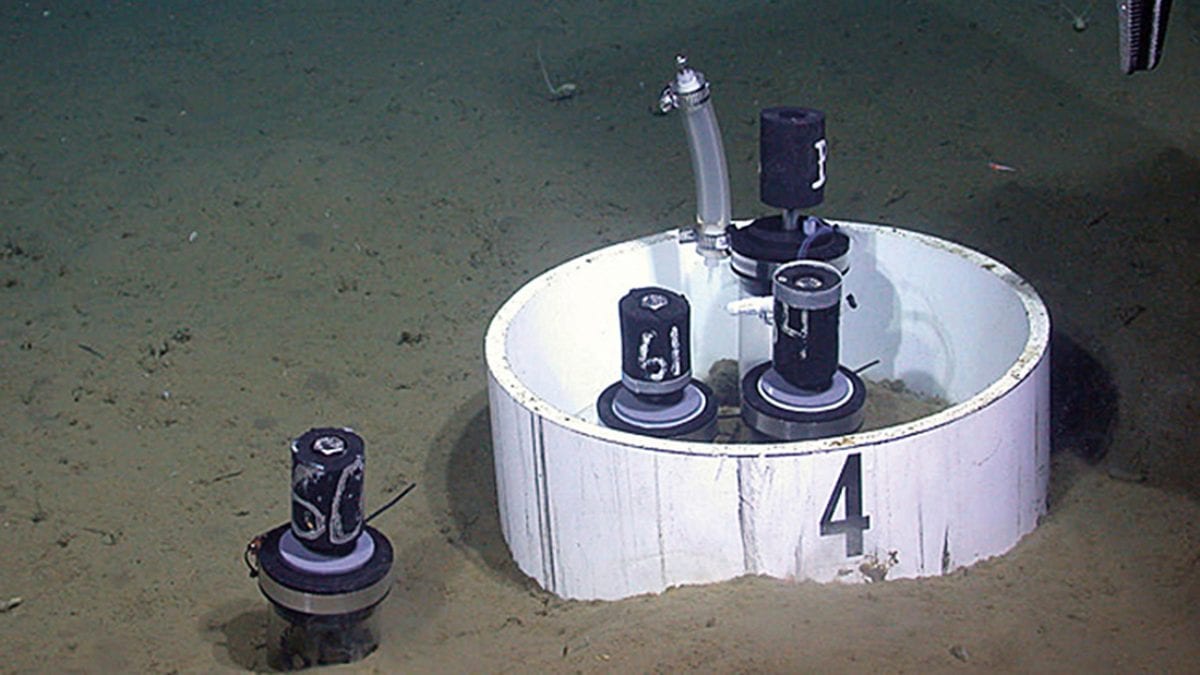 Seafloor Experiment