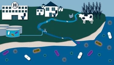 The Bacteria on Your Beaches