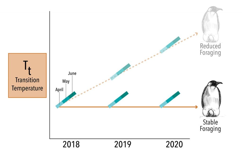 Penguin-Graph-(years)_Master-01_490555.jpg