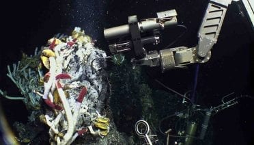 Fueling a Deep-Sea Ecosystem