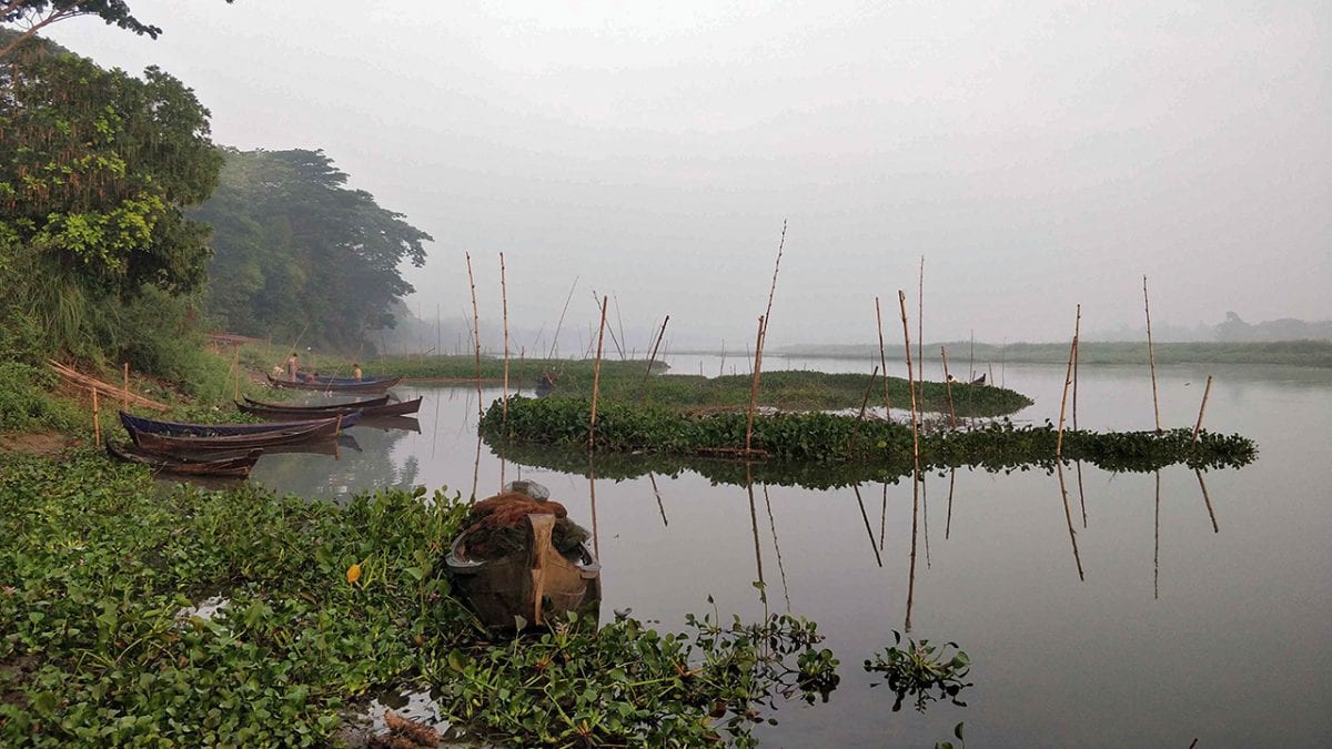 Morning on the Delta