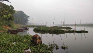 Morning on the Delta