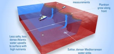 Forecasting Where Ocean Life Thrives