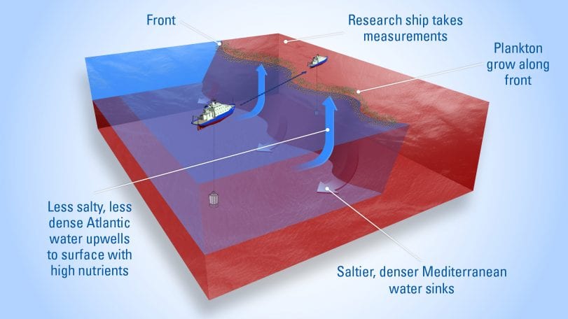 Forecasting Where Ocean Life Thrives