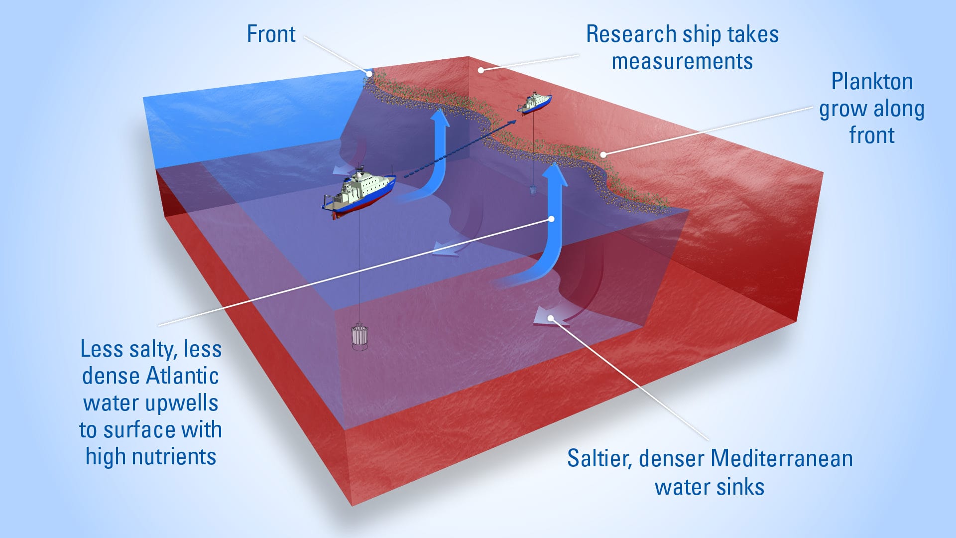 Forecasting Where Ocean Life Thrives