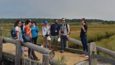 Marshes in Flux