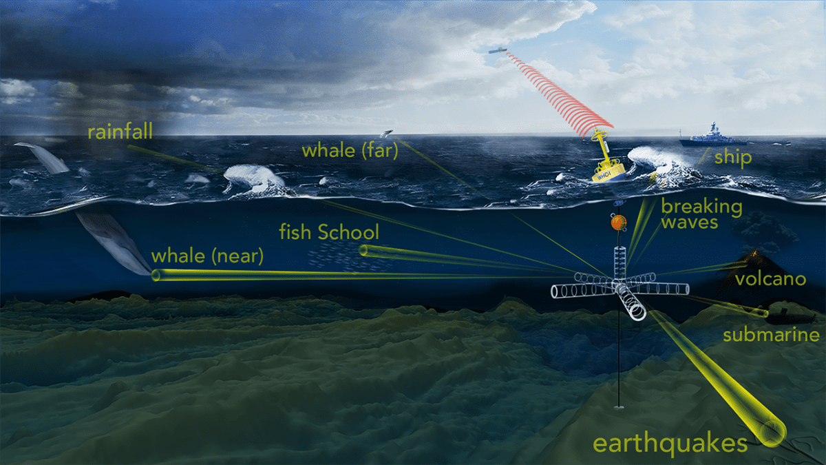 $1 Million Grant to Build the WHOI-Keck Real Time 3-D Acoustic Telescope