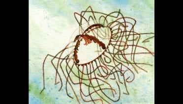 Ocean-Inspired Art