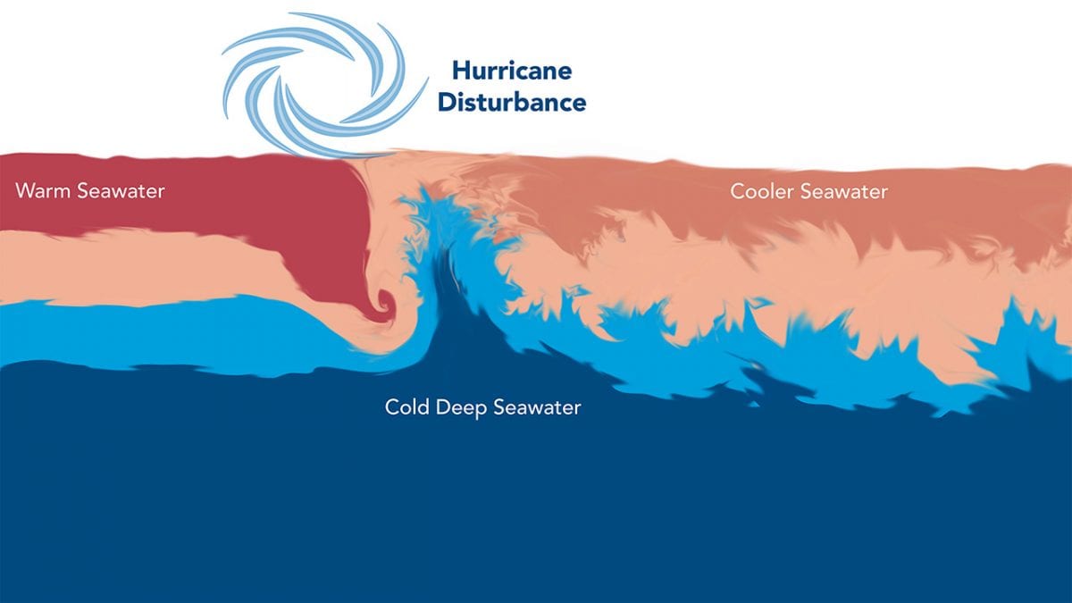 Forecasting Hurricane Intensity