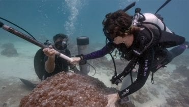 Looking for Resilience