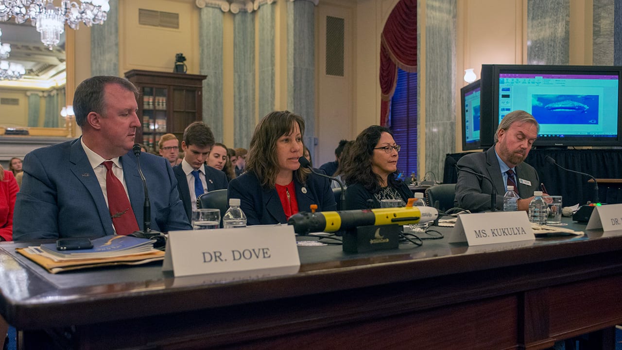 Shark Research at the Senate