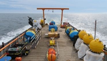 Woods Hole Center for Oceans and Human Health Receives Five-year Funding from NSF and NIEHS