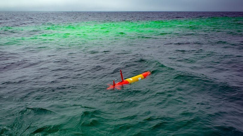 Sniffing Out Oil Spills