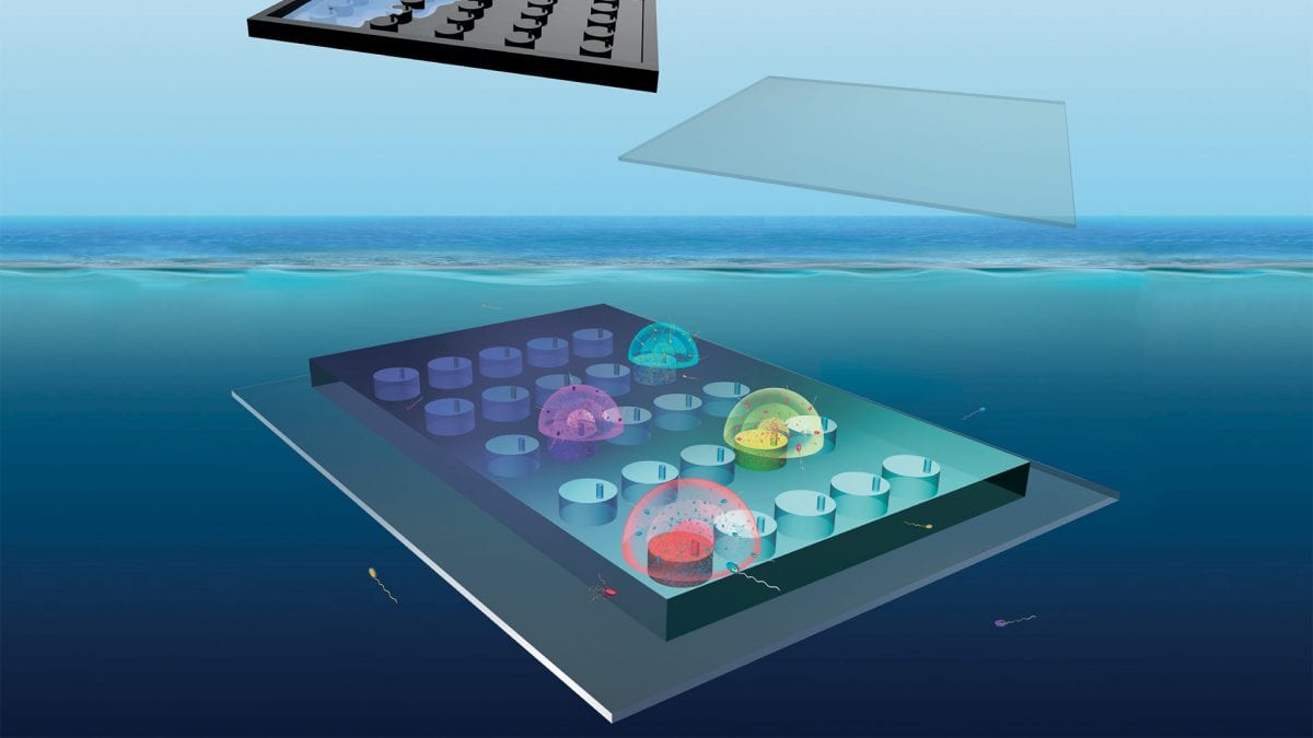 A Lobster Trap for Microbes