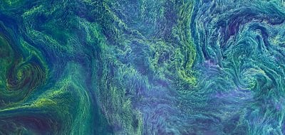 The Living Breathing Ocean