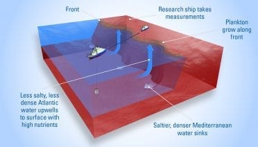 Forecasting Where Ocean Life Thrives