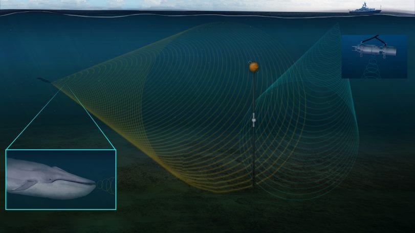 Warping Sound in the Ocean