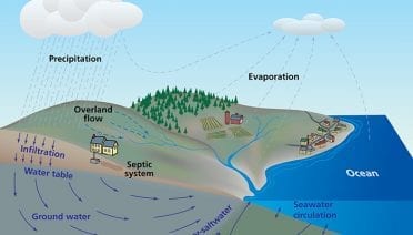 Groundwater and the Ocean