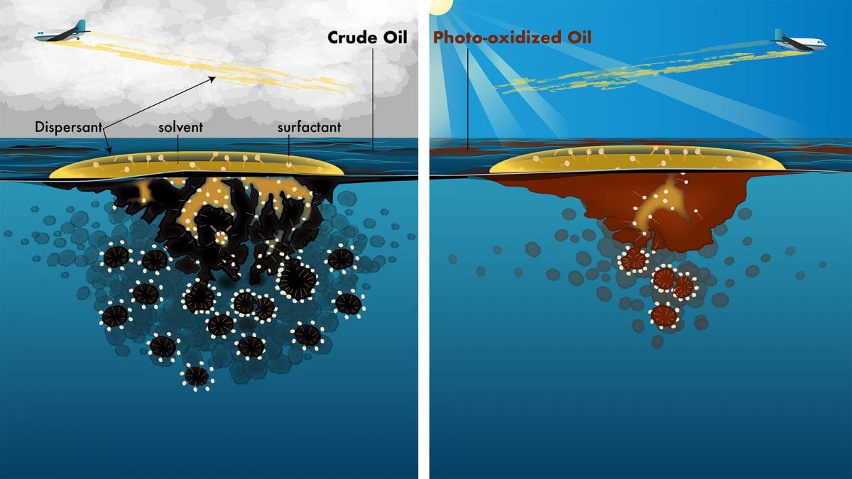 Reassessing Guidelines for Oil Spill Cleanups