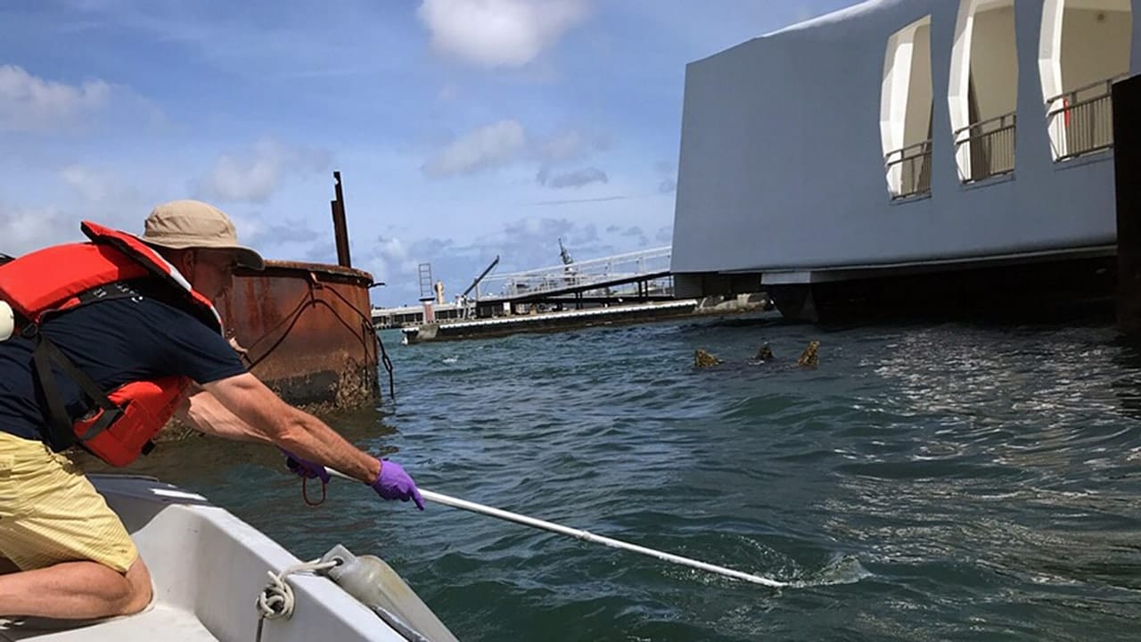 Exploring the USS Arizona