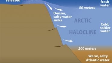 Arctic Halocline