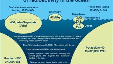 Source of Radioactivity in the Ocean