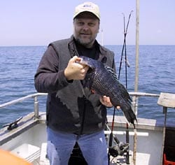 Steven A. Murawski