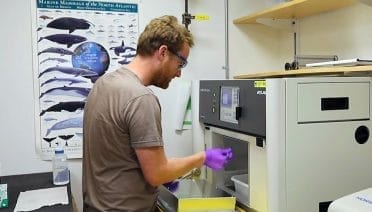 Tiny Plastics, Big Investigation