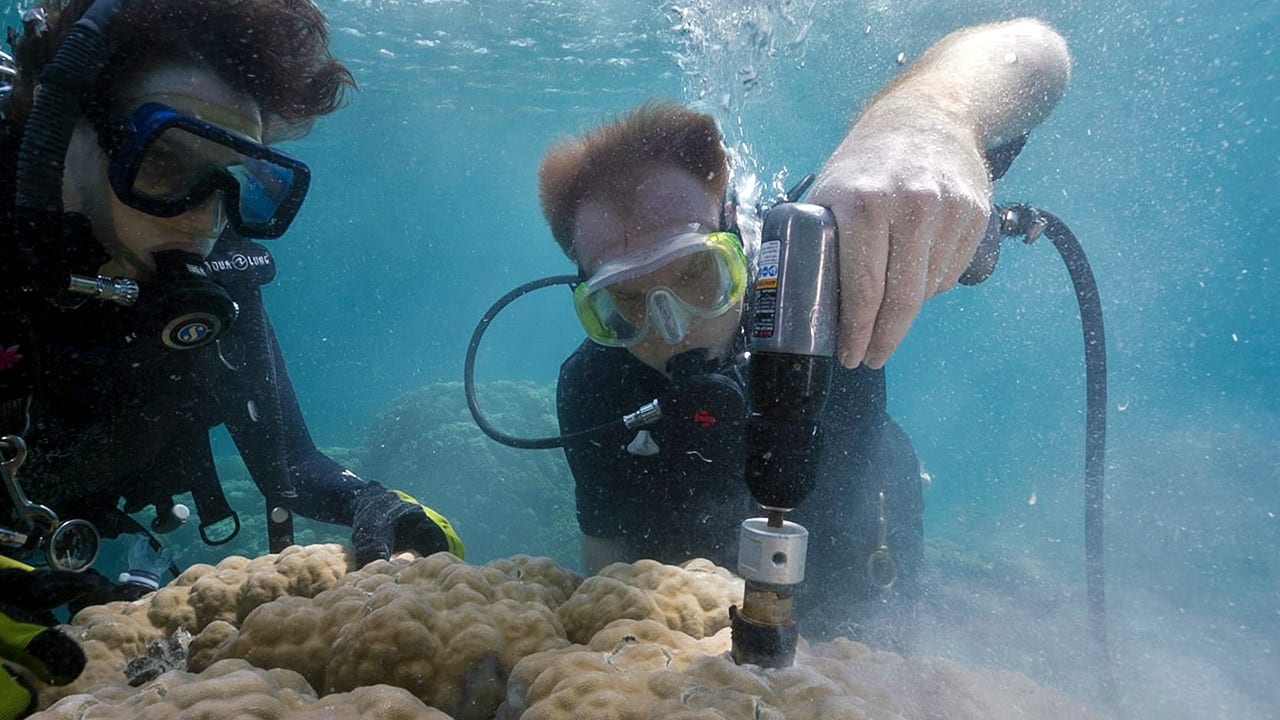 Coring Corals