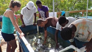 Virgin Islands Research