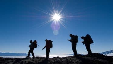 Star of Antarctica