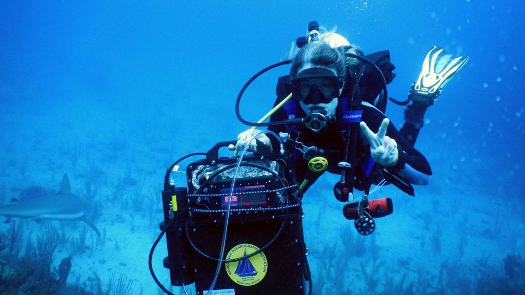 A DISCO in the Ocean