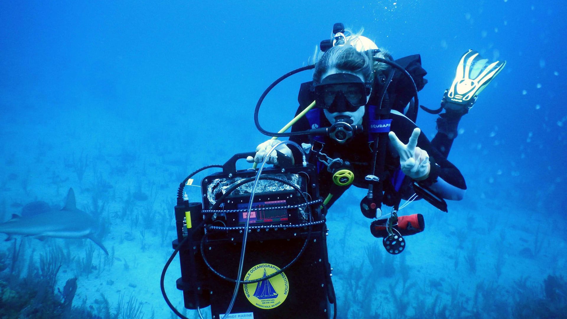 A DISCO in the Ocean