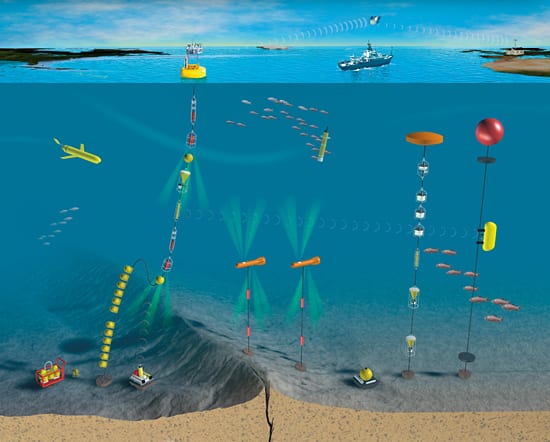 Researchers are planning instrument arrays that combine surface and sub-surface buoys, moorings, gliders, drifters, and shipboard measurements to monitor many complementary ocean processes.