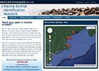 The Marine Mammal Identification Network