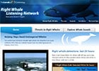 cit-sci-right-whales_313633 Right Whale Listening Network