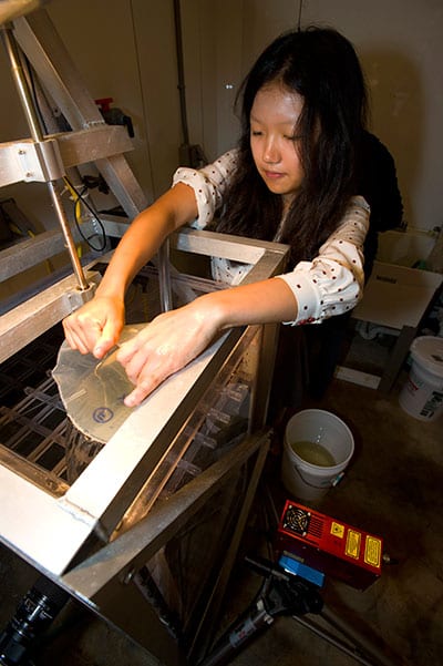 elaine-luo-work-en_297454.jpg