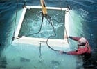 leo_x_38827.jpg Seafloor Observatories