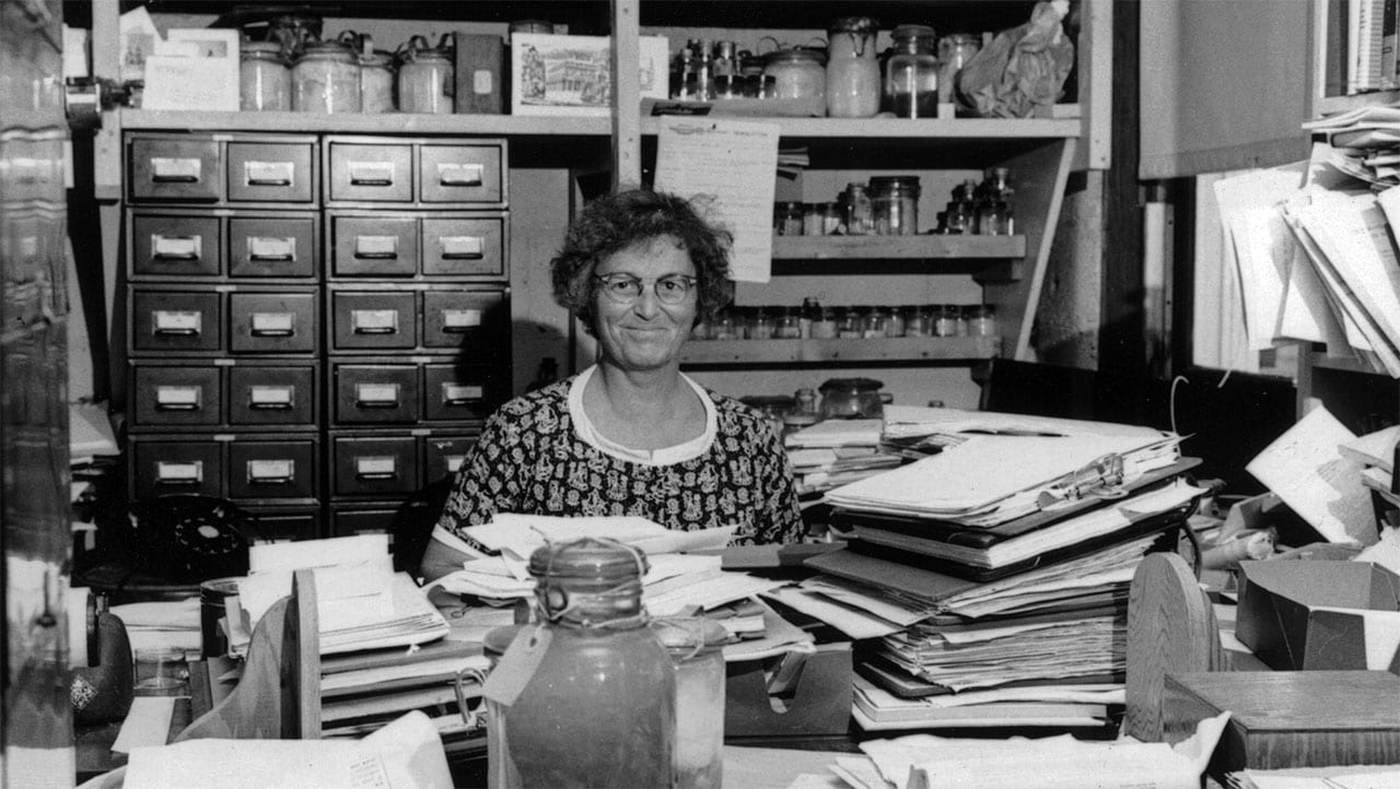 In this 1960 photo, Mary Sears is surrounded by papers and biological samples in her Bigelow Laboratory office. (Woods Hole Oceanographic Institution Archives)