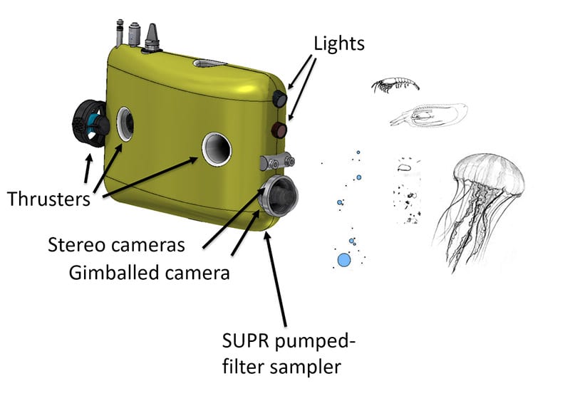 mesobot_summary_with_SUPR-n_460153.jpg