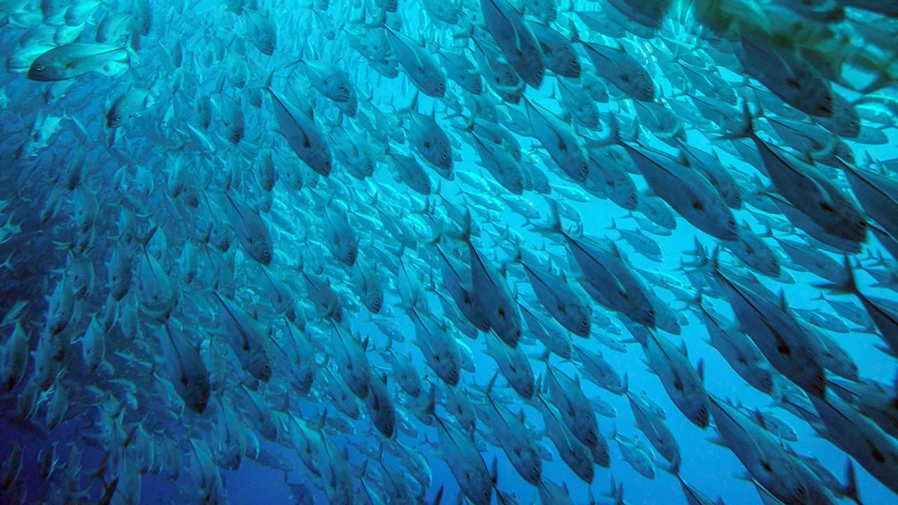 oceanography_491454.jpg oceanography