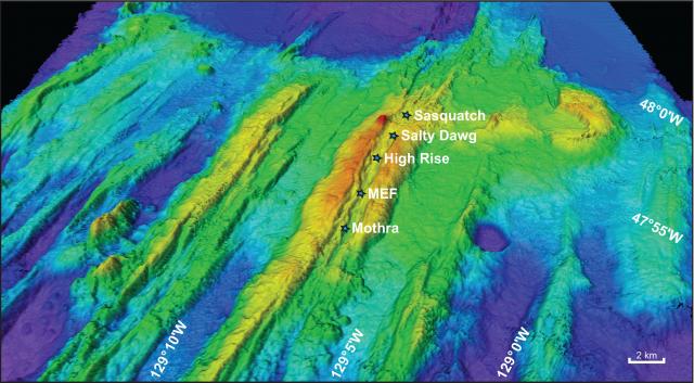 The names of hydrothermal vent fields along the Endeavour segment of the Juan de Fuca ridge.