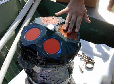 A mixture of petroleum jelly and chili powder repels barnacles in a Florida bay without interupting sound waves, while the garbage bags and electrical tape keep the rest of the instrument clean. (Jim Culter, Mote Marine Laboratory)