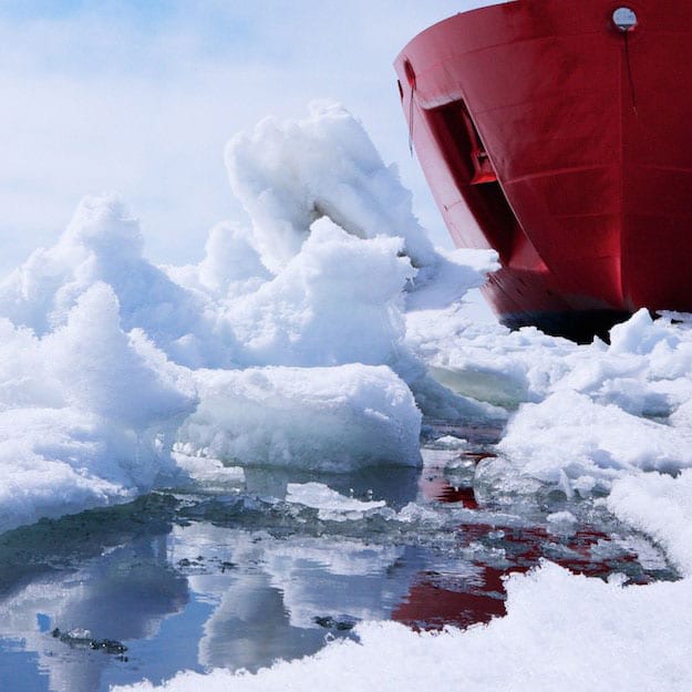 Arctic Spring