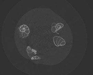 Cibs_scan_6_april_511113
