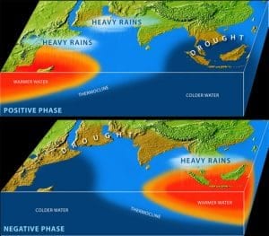 The Indian Ocean has its own seesaw behavior, the Indian Ocean Dipole. During a so-called positive phase, warmer-than-usual water temperatures in the western Indian Ocean bring heavy rains to East Africa and India and colder-than-usual waters bring drought to Southeast Asia. In the negative phase, ocean and monsoonal conditions reverse. (Illustration by E. Paul Oberlander, Woods Hole Oceanographic Institution)