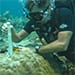 Pat_coring-75_316933